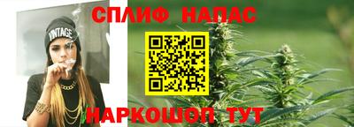 бошки Будённовск